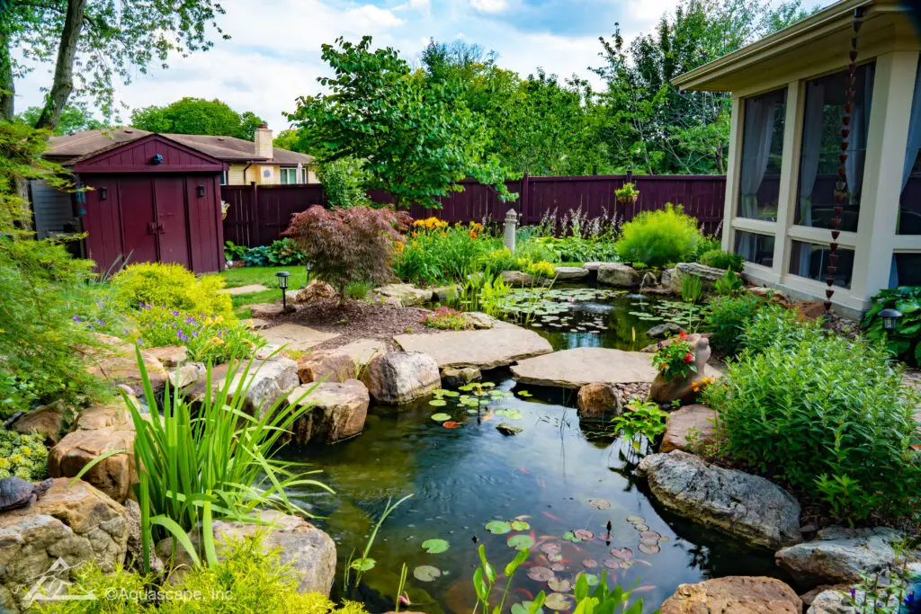 A tranquil backyard ecosystem pond featuring a variety of aquatic plants, water lilies, and large stepping stones creating a natural walkway across the water. The pond is surrounded by a lush garden with a mix of colorful perennials and ornamental grasses, all against a backdrop of a dark red fence and a charming home with large windows. The design evokes a sense of a secluded natural retreat, perfect for wildlife habitation and human relaxation