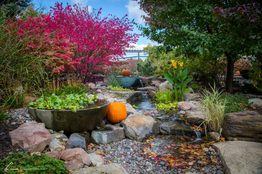 A serene and colorful garden setting with an ecosystem pond and a gently cascading pondless waterfall. The scene is framed by vibrant pink and red autumn foliage and a variety of greenery. A stone bowl brimming with water plants sits at the edge, complementing the natural pond stones and pebbles. Orange pumpkins add a touch of seasonal flair, nestled among the plants and rocks, creating a picturesque natural water feature that blends harmoniously with its surroundings.