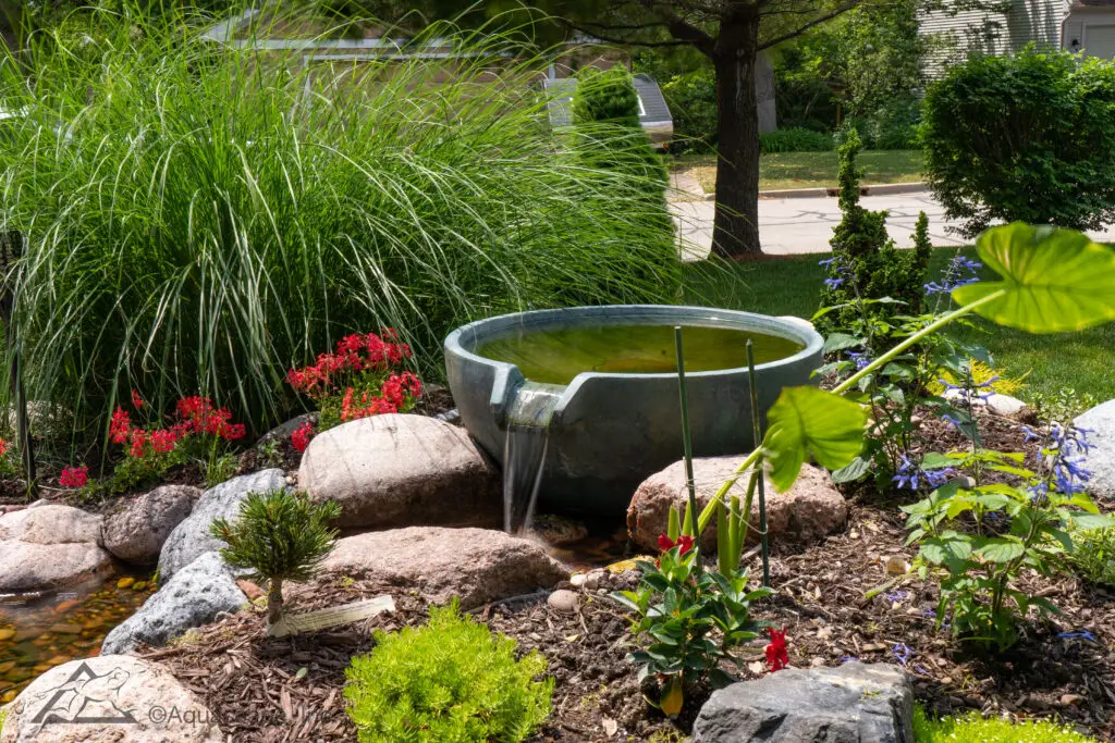 A soothing spillway bowl set amidst a vibrant garden scene, with water flowing from the brim into a rocky bed below. Surrounded by an assortment of ornamental grasses, red flowers, and lush green plants, it creates a dynamic focal point. The garden is a blend of textures and colors, providing a tranquil corner that invites local wildlife and offers a glimpse of natural serenity against the backdrop of a suburban street.