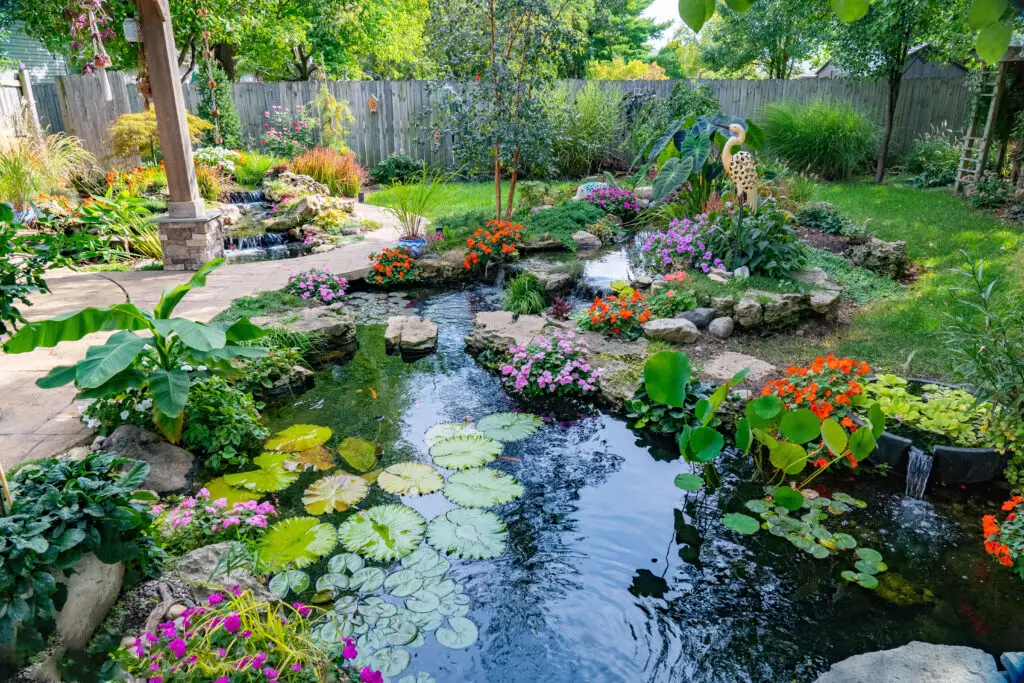 Picture of a large pond, it has a flagstone bridge near the waterfall and is heavily planted.