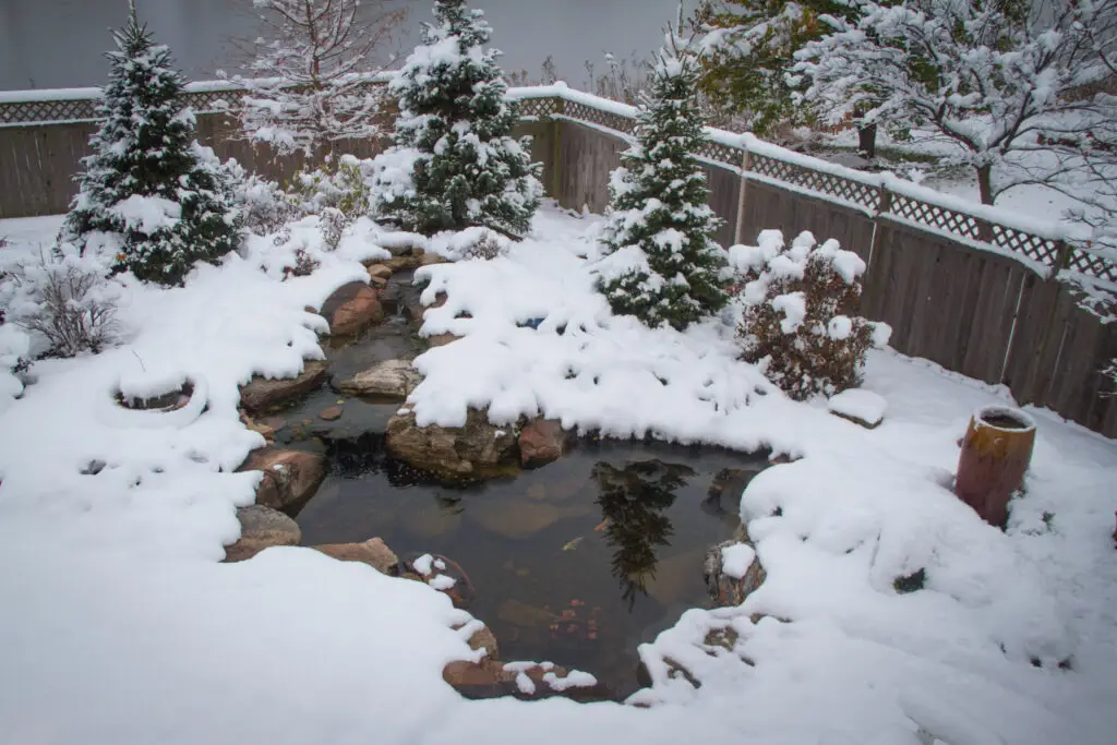 A pond's water shows through an otherwise blanket of snow. Picture is a top down view from a drone shot.