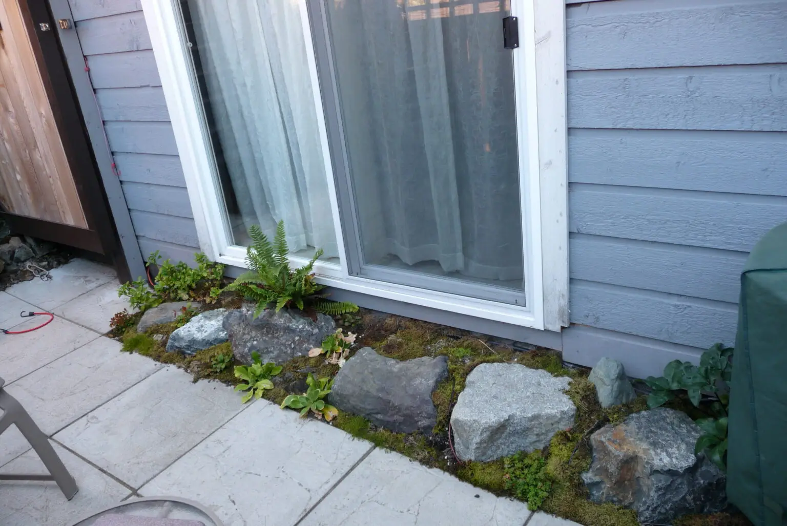 Close-up of a newly installed boulder step outside the sliding glass door, surrounded by ferns and low-maintenance plants. The planted greenery softens the stone and adds visual appeal to the patio area.