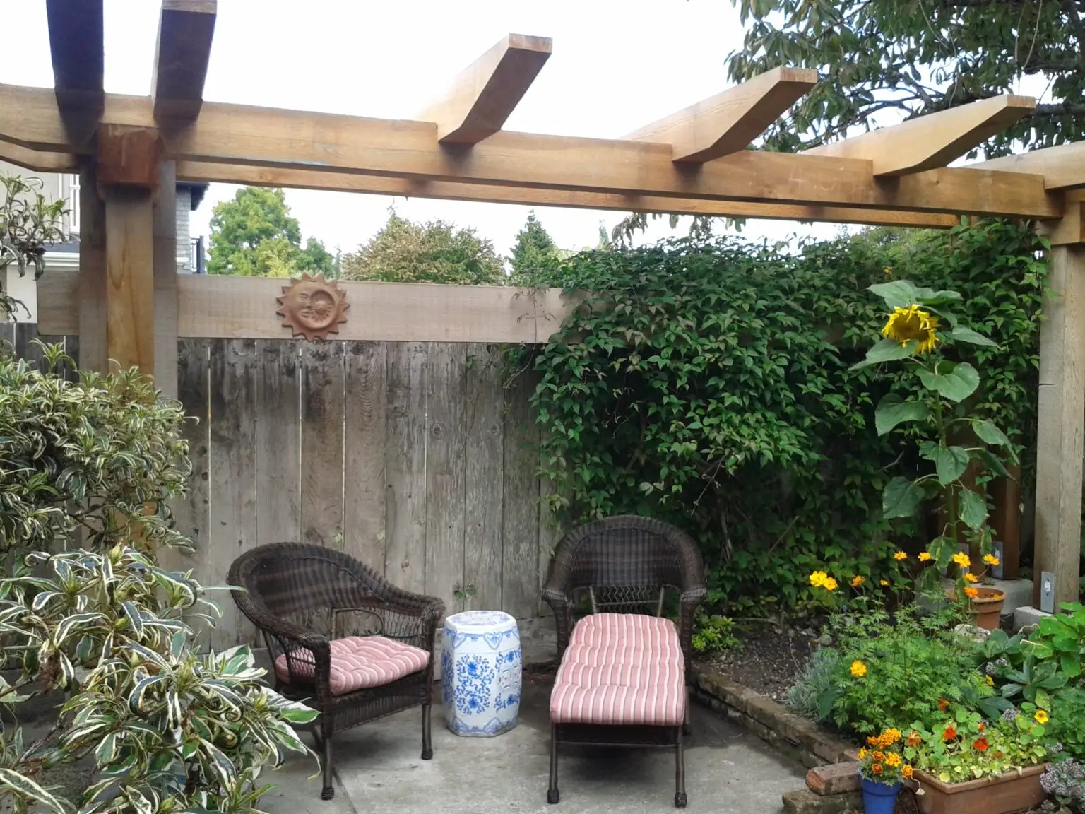 This image shows the finished result of the pergola installation. The sturdy wooden structure seamlessly blends into the garden, providing a natural framework for a tranquil seating area. Two wicker chairs with striped cushions and a decorative blue and white side table sit beneath the pergola, creating a cozy spot for relaxation. Behind the chairs, the fence is now adorned with lush green vines, offering privacy and a beautiful backdrop. The climbing plants are thriving, using the pergola as support, and a vibrant sunflower adds a splash of yellow color to the garden, complementing the other flowering plants. The overall space feels peaceful and inviting, a perfect example of how the pergola has transformed this corner into a charming outdoor retreat.