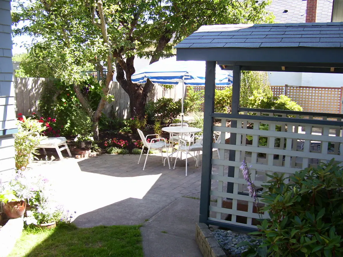 This "before" image showcases a backyard space dominated by a large, mature cherry tree that casts shade over the area. A stone-paved patio occupies much of the yard, with a few small flowerbeds and scattered plantings along the fence line. A striped umbrella and outdoor furniture set provide seating under the tree, and a wooden lattice structure adds partial separation between spaces. Despite the inviting feel, the cherry tree's size and extensive shading make it difficult for plants to thrive, resulting in a somewhat sparse garden with limited greenery and color. The space shows potential but faces challenges for effective planting and landscaping due to the tree's dominance.