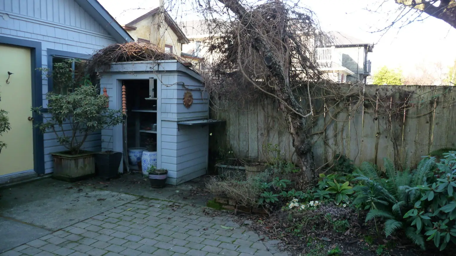 This image shows the "before" state of an outdoor space featuring an aging wooden shed adjacent to a small fenced garden. The shed has a simple, weathered appearance with a sloping roof, partially covered by leafless vines. A few potted plants and decorative items are visible near the shed, giving it a rustic charm. The surrounding fence is also weathered, with overgrown vines and a bare tree that creates a slightly neglected look. In front of the shed, the stone-paved patio area is bordered by various plants, including lush ferns, which bring some greenery to the otherwise wintery or dormant scene. The overall space has potential for transformation but currently feels a bit untended.