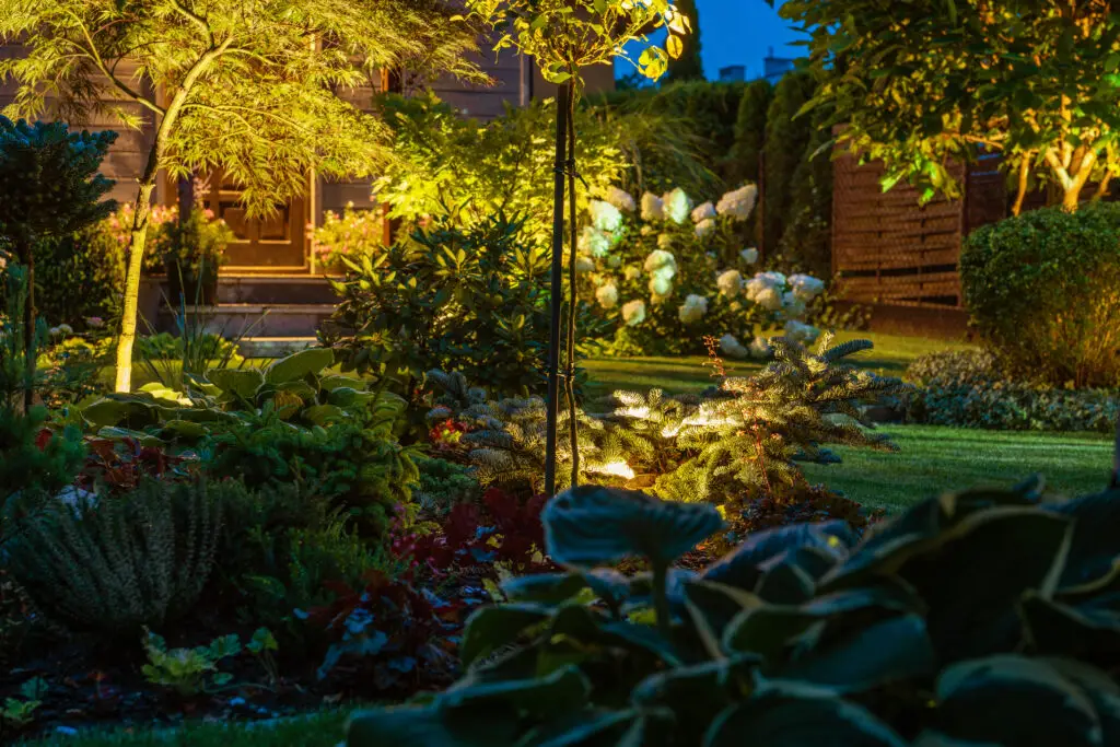 A beautifully illuminated backyard garden at night, featuring a variety of lush plants, including hostas and shrubs, accented by soft LED lighting. A young tree is highlighted in the foreground, while warm light from a nearby house enhances the inviting ambiance of the space.