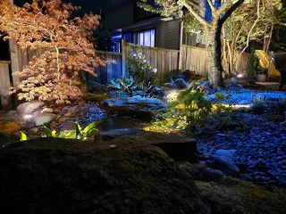 A night-time view of a garden with dramatic lighting showcasing a pondless stream and pooling area. The soft glow highlights a Japanese maple with delicate leaves, aquatic plants, and a textured landscape of rocks and pebbles. The gentle flow of water reflects the ambient light, creating a serene and enchanting atmosphere in a residential backyard setting, inviting a sense of tranquility and natural beauty.